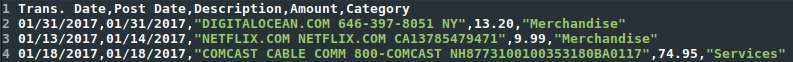 Credit Card Statement CSV